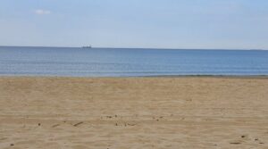 20190816-120842-largejpg