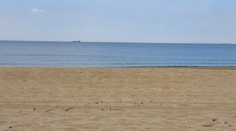 20190816-120842-largejpg