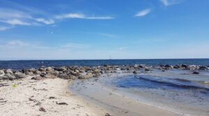 20180609-124202-largejpg