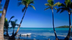 coconut-beach-resort