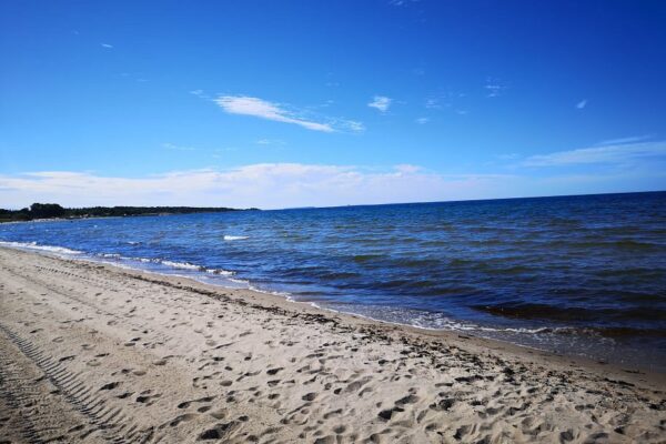 Pantai Tofta Strand – Surga Tersembunyi di Pulau Gotland, Swedia