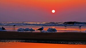 strand-egmond-aan-zee
