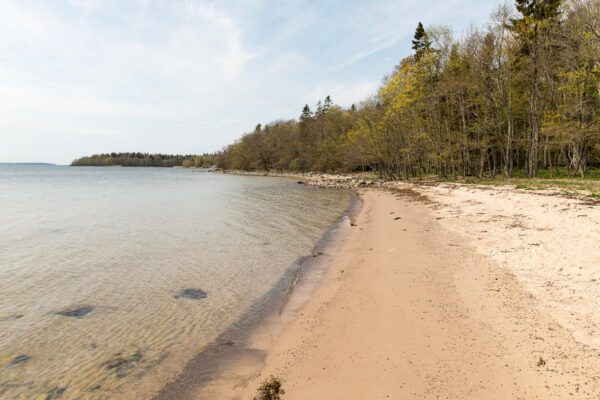 Riddersholms Naturreservat – Surga Alam yang Tersembunyi di Swedia