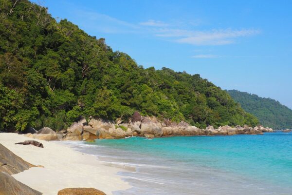 Pantai Turtle Sanctuary Beach: Menyelamatkan Penyu di Langkawi