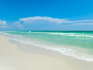 keindahan-alam-dan-pantai-di-taman-negara-henderson-beach