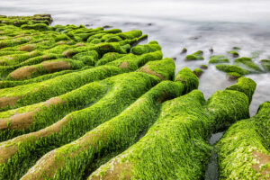 keindahan-pantai-laomei-green-reef-di-taiwan