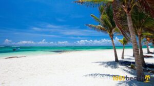 keindahan-pantai-akumal-surga-tropis-di-meksiko