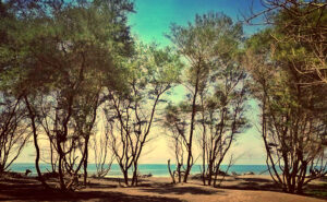 keindahan-pantai-goa-cemara-surga-tersembunyi-di-pantai-selatan