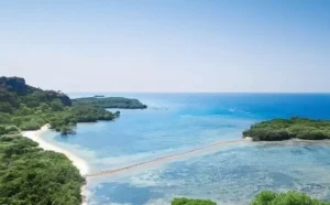 keindahan-pantai-goza-surga-tersembunyi-di-pulau-baluran