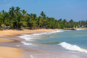 keindahan-pantai-radhanagar-surga-tersembunyi-di-pulau-havelock