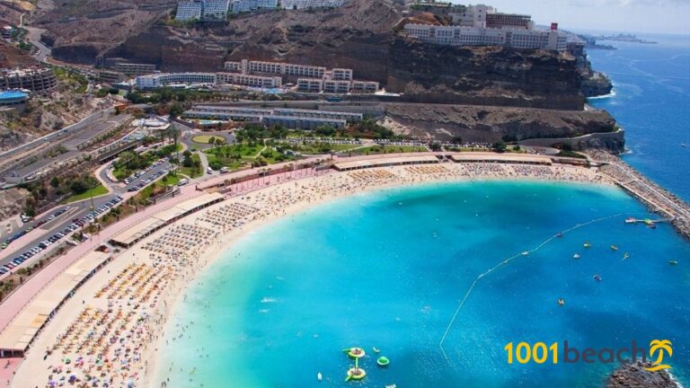 Pantai Playa de Amadores: Surga Pasir Putih di Gran Canaria