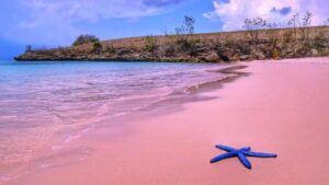 keindahan-pantai-coral-surga-tersembunyi-di-pulau-indah