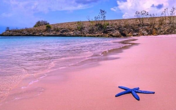 Keindahan Pantai Coral: Surga Tersembunyi di Pulau Indah