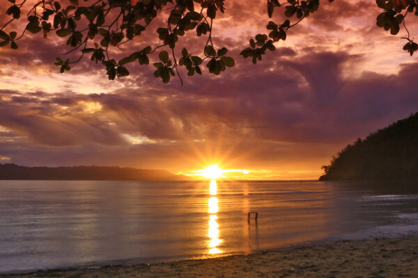 Pantai Harlem di Jayapura: Keindahan Alam dan Pesona Alam Papua