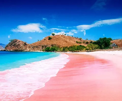 Pantai Pink Sands Beach: Pesona Pasir Merah Muda yang Menawan
