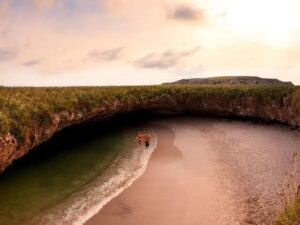 keindahan-pantai-los-algodones-surga-tersembunyi-di-meksiko