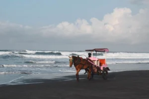 keindahan-pantai-parangtritis-pesona-alam-dan-budaya-yogyakarta