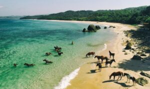 pantai-nihiwatu-surga-tersembunyi-di-pulau-sumba