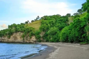 pantai-strand-egmond-aan-zee-keindahan-alam-dan-pesona-pesisir