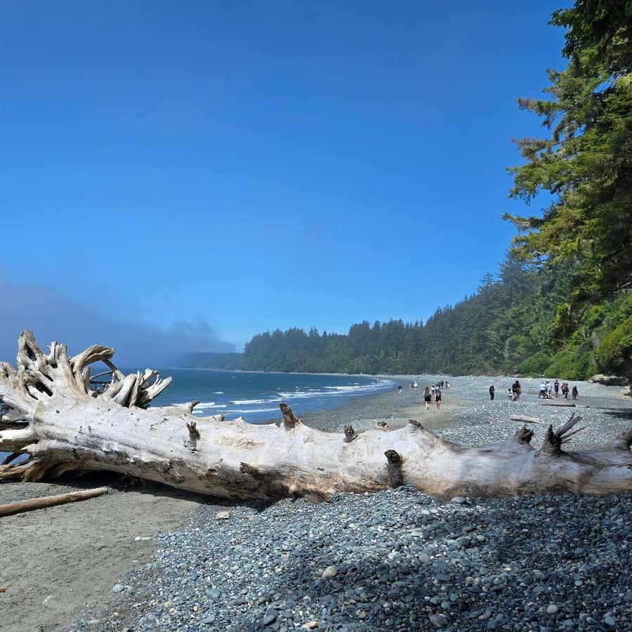 eksplorasi-pantai-pantai-menarik-di-sekitar-danau-victoria