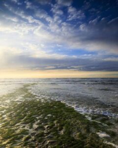 keindahan-pantai-de-haan-surga-tersembunyi-di-belanda