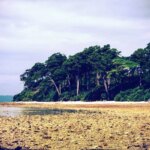 keindahan-pantai-radhanagar-surga-tersembunyi-di-pulau-havelock