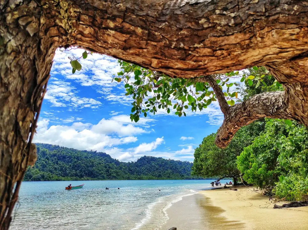 pantai-barleycove-surga-tersembunyi-dengan-keindahan-alami