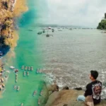 pantai-palolem-surga-tersembunyi-di-goa-yang-menawan