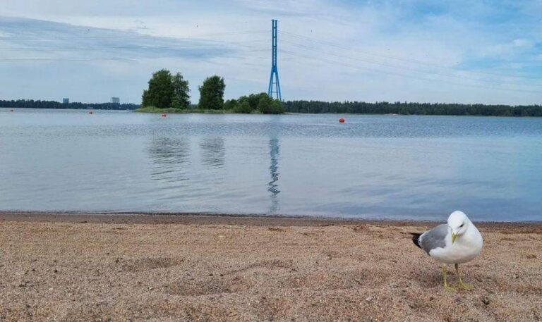 keindahan-pantai-kalajoen-hiekkasarkat-yang-menawan-di-finlandia