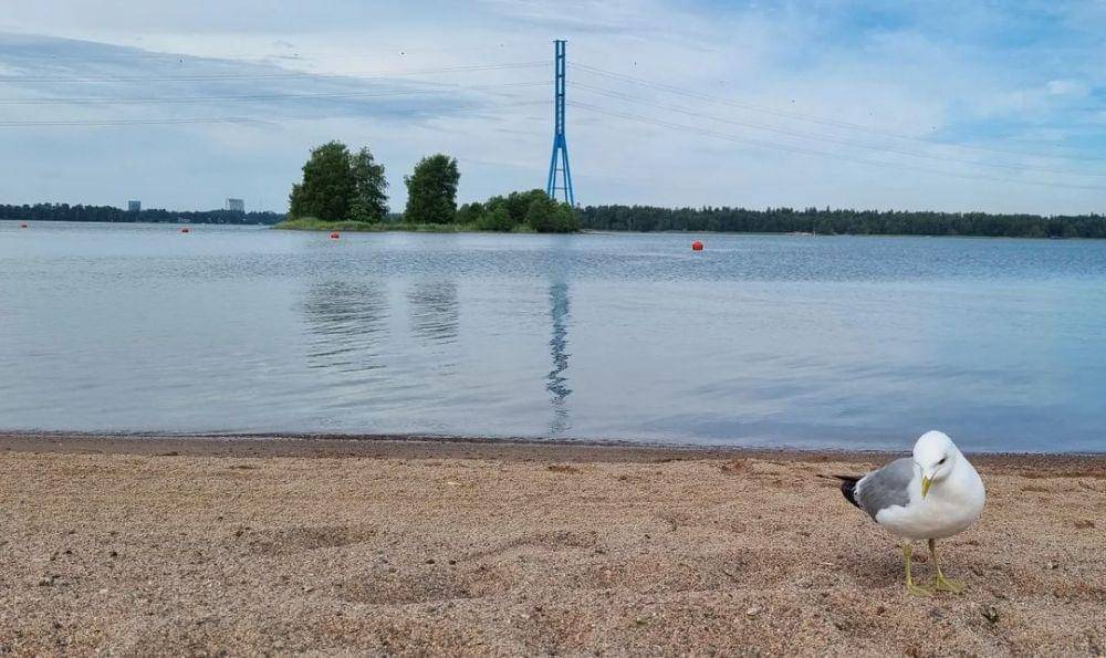 keindahan-pantai-kalajoen-hiekkasarkat-yang-menawan-di-finlandia